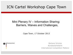 Barbara Schulze - 2013 ICN Cartel Workshop