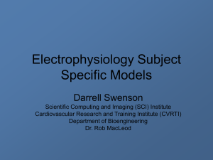 Electrophysiology Patient Specific Models