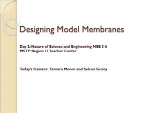 Designing Model Membranes - Region 11 Math And Science