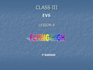 CLASS III EVS - kvelearning38