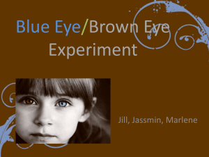 Blue Eye/Brown Eye Experiment