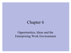 Opportunities, Ideas and the Enterprising Work Environment