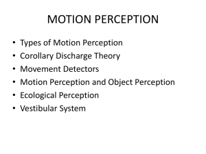 Movement Perception