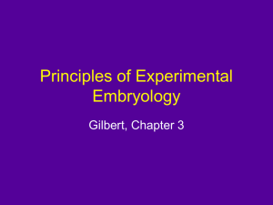 Principles of Experimental Embryology