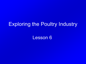 Poultry Unit PPT