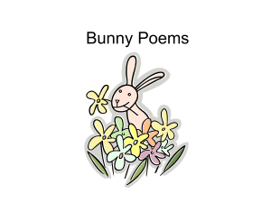 Bunny Poems