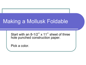 Making a Mollusk Foldable