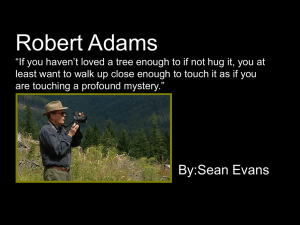 Robert Adams “If you haven`t loved a tree enough to if not hug it, you