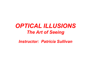 Optical Illusions PPT