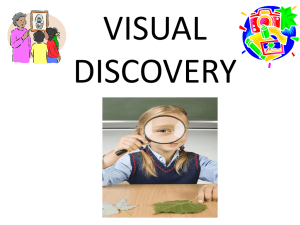 Visual Discovery Presentation