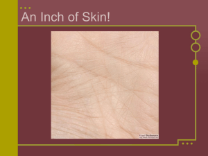 An Inch of Skin! - Edgartown School