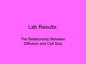 Lab Results: