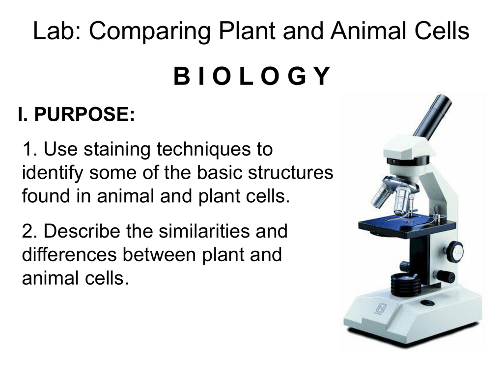 PowerPoint: Lab-Comparing Plant and Animal Cells