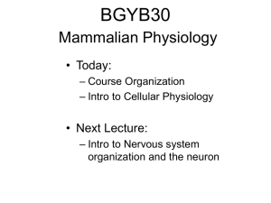 BGYB30 Animal Physiology - University of Toronto Mississauga