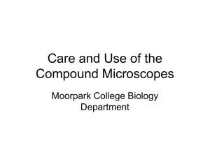 Care and Use of the Compound Microscopes