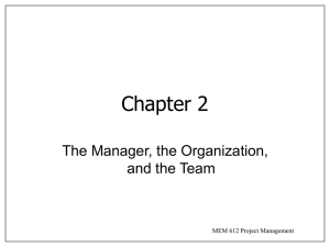 Manager, Organization, and Team