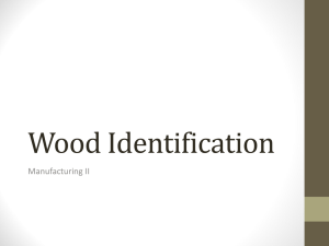 Wood Identification Powerpoint