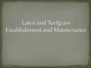 Lawn and Turfgrass Establishment and Maintenance