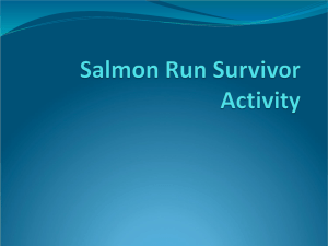 Salmon Run Activity