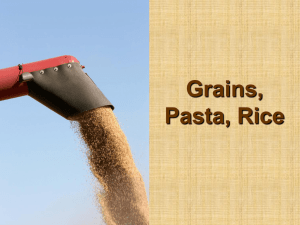 Grains, Pasta, Rice PowerPoint