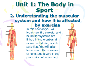 Unit 1: The Body in Sport