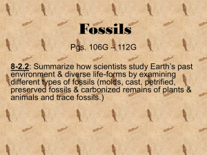 Fossils power point