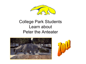 Peter the Anteater