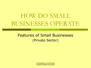 5. Features of small businesses – private sector