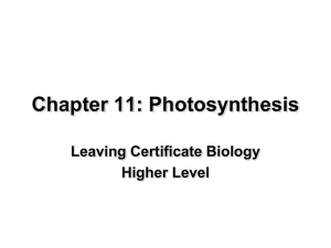 Photosynthesis - Leaving Cert Biology