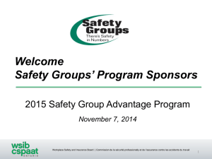 Safety Group Advantage Program Validation Audit Process