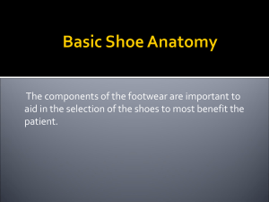 Basic Shoe Anatomy