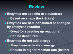 Enzyme Regulation/Rates PPT