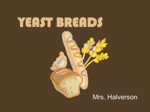 Yeast Breads Powerpoint