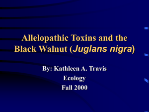 Allelopathic Toxins and the Black Walnut (Juglans