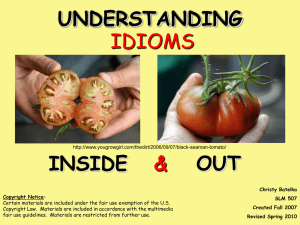 “Understanding Idioms Project” (PPT Presentation)