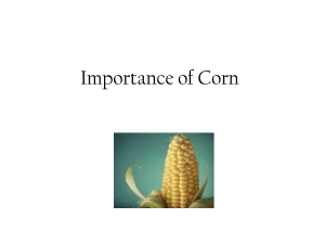 Corn Plastic - NAAE Communities of Practice