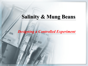 Salinity & Mung Beans