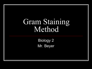 Gram Staining Method