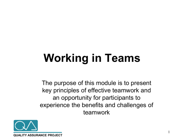 Working In Teams USAID ASSIST Project