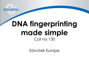 DNA fingerprinting made simple