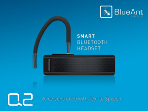 Q2 Q1 - BlueAnt Wireless