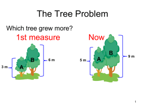 The Tree Problem