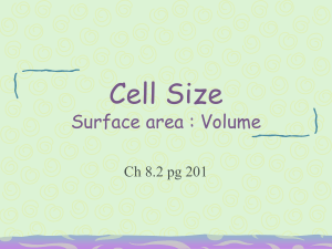 Cell Size Limits
