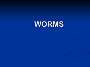 Bio Worms