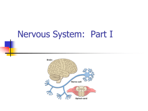 Nervous & Endocrine Systems