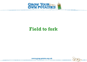 Field to Fork (Microsoft 2007 PowerPoint)