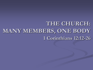 THE CHURCH: MANY MEMBERS, ONE BODY