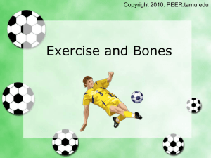 Exercise & Bones