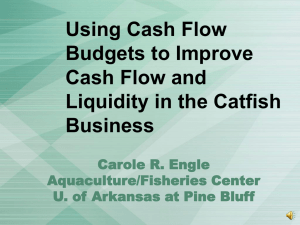 Using Cash Flow Budgets to Improve Cash Flow and