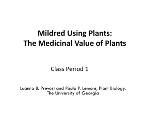 Case Study #3: Humans Using Plants
